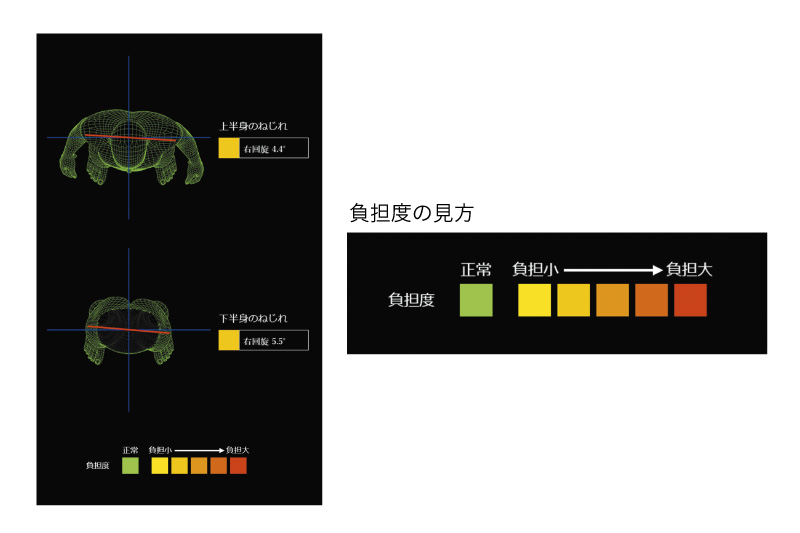 AI姿勢分析システム | 運動分析 | オージーウエルネス